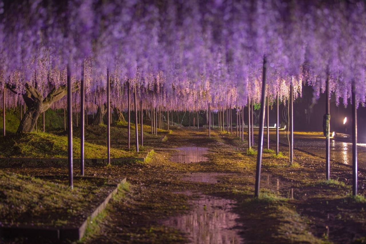 行政書士葛飾江戸川総合法務事務所